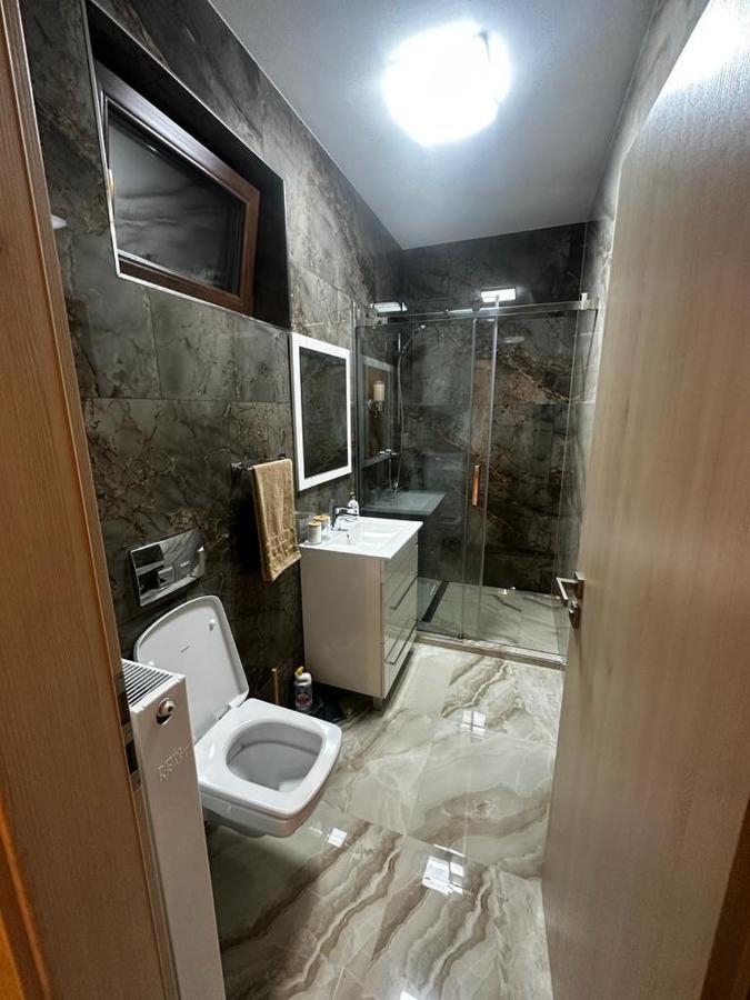 Emanuela Apartments Pecica Εξωτερικό φωτογραφία