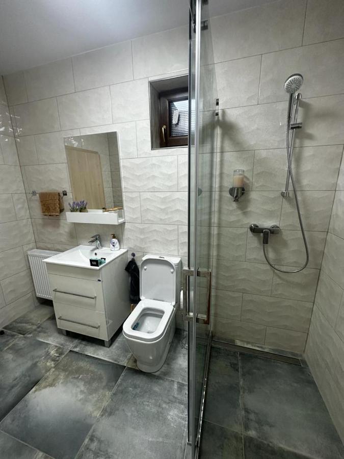 Emanuela Apartments Pecica Εξωτερικό φωτογραφία