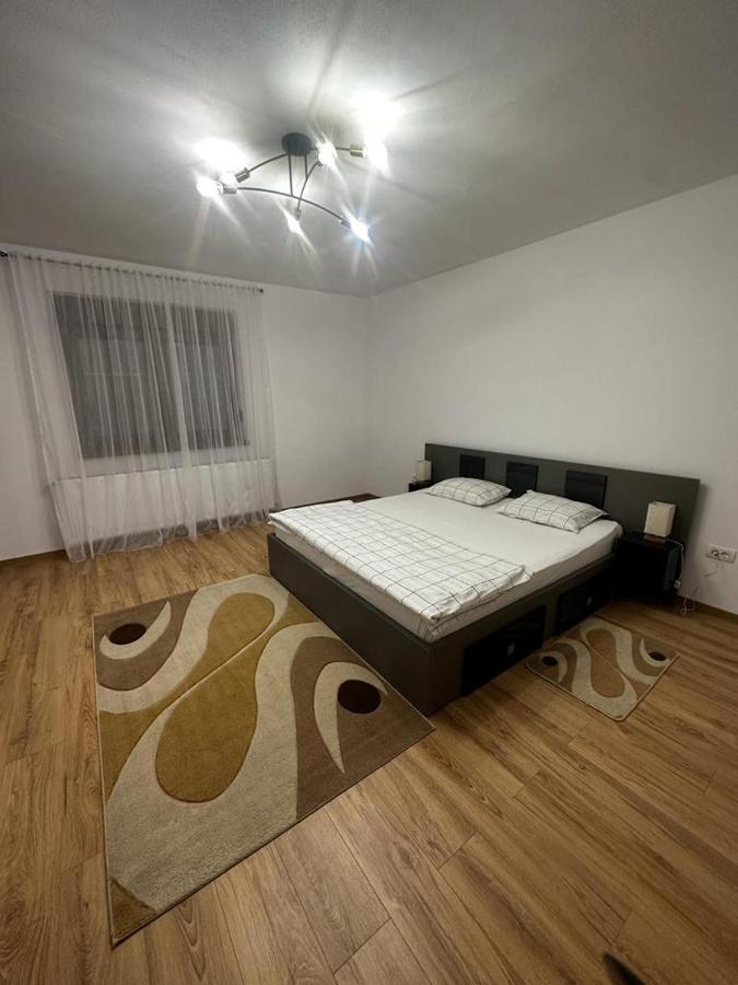 Emanuela Apartments Pecica Εξωτερικό φωτογραφία