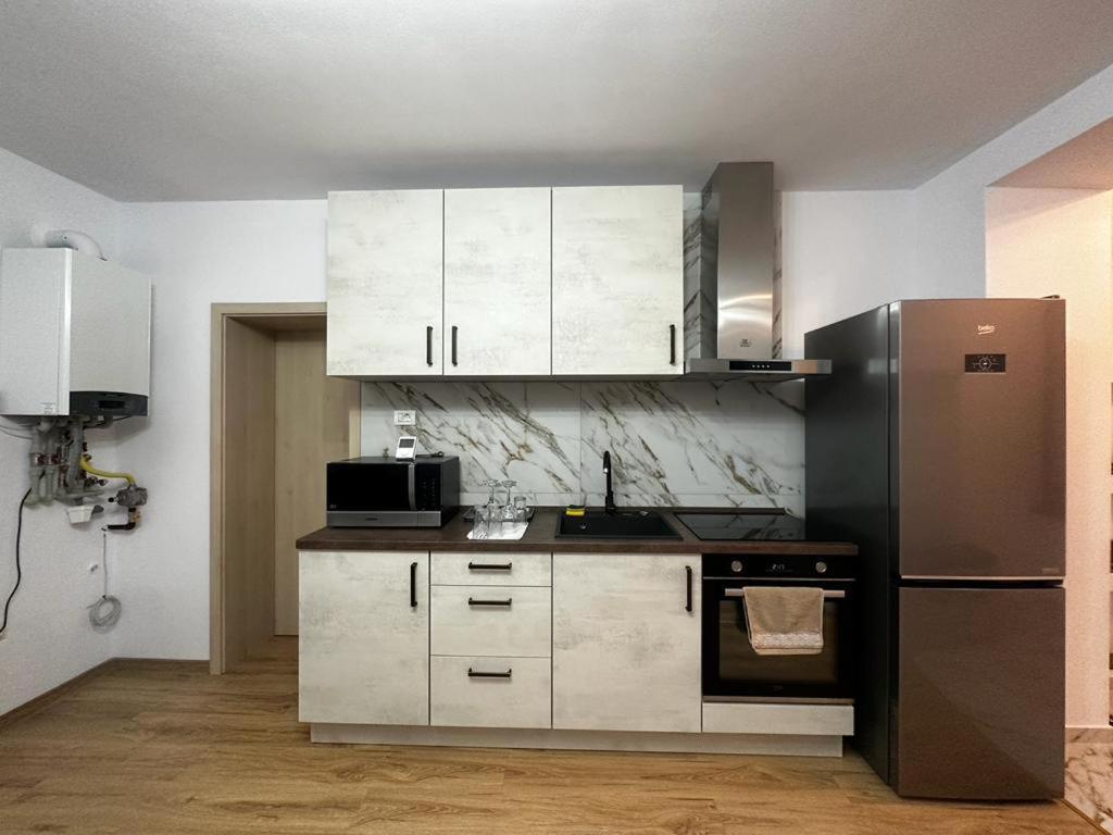 Emanuela Apartments Pecica Εξωτερικό φωτογραφία