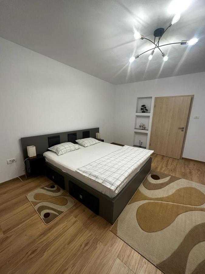 Emanuela Apartments Pecica Εξωτερικό φωτογραφία