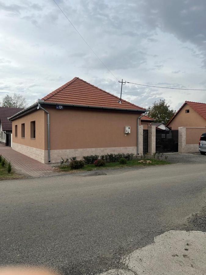 Emanuela Apartments Pecica Εξωτερικό φωτογραφία