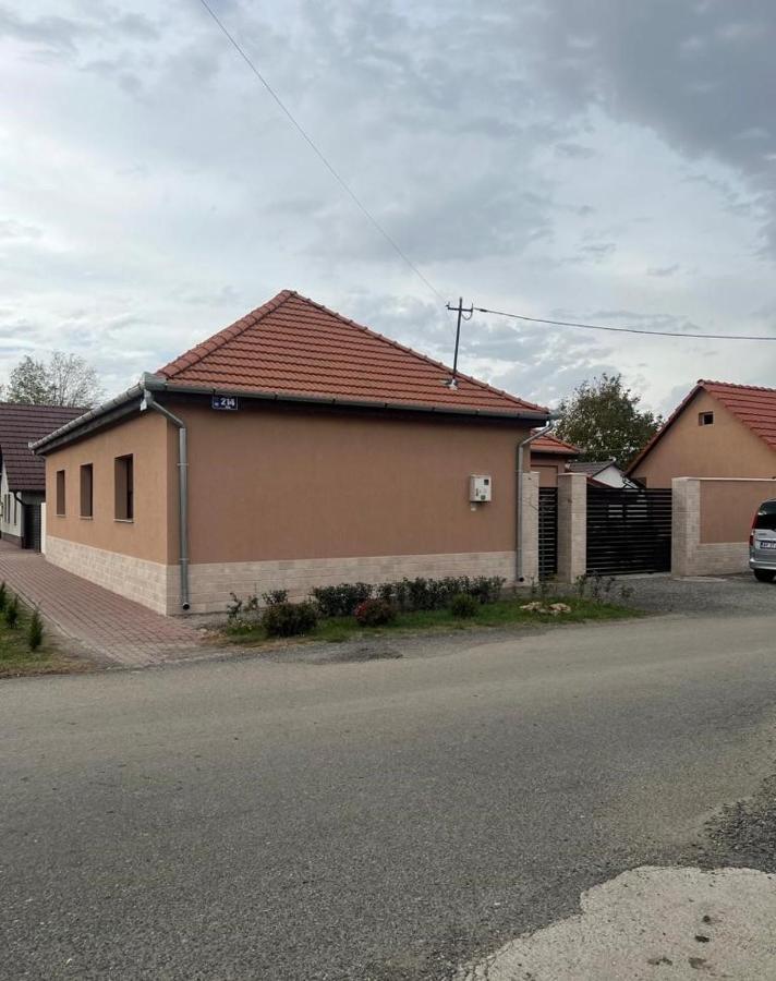 Emanuela Apartments Pecica Εξωτερικό φωτογραφία