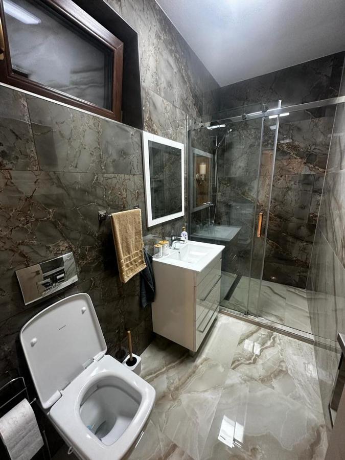 Emanuela Apartments Pecica Εξωτερικό φωτογραφία