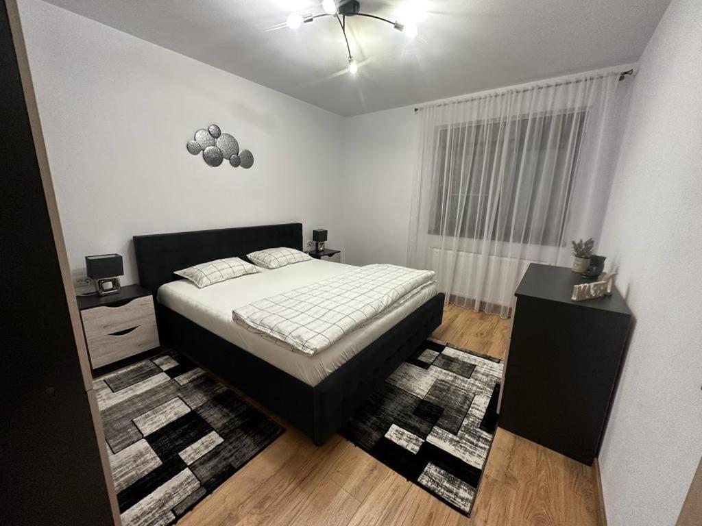 Emanuela Apartments Pecica Εξωτερικό φωτογραφία