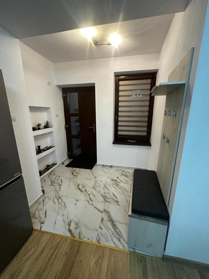 Emanuela Apartments Pecica Εξωτερικό φωτογραφία