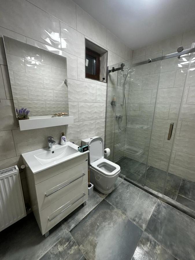 Emanuela Apartments Pecica Εξωτερικό φωτογραφία