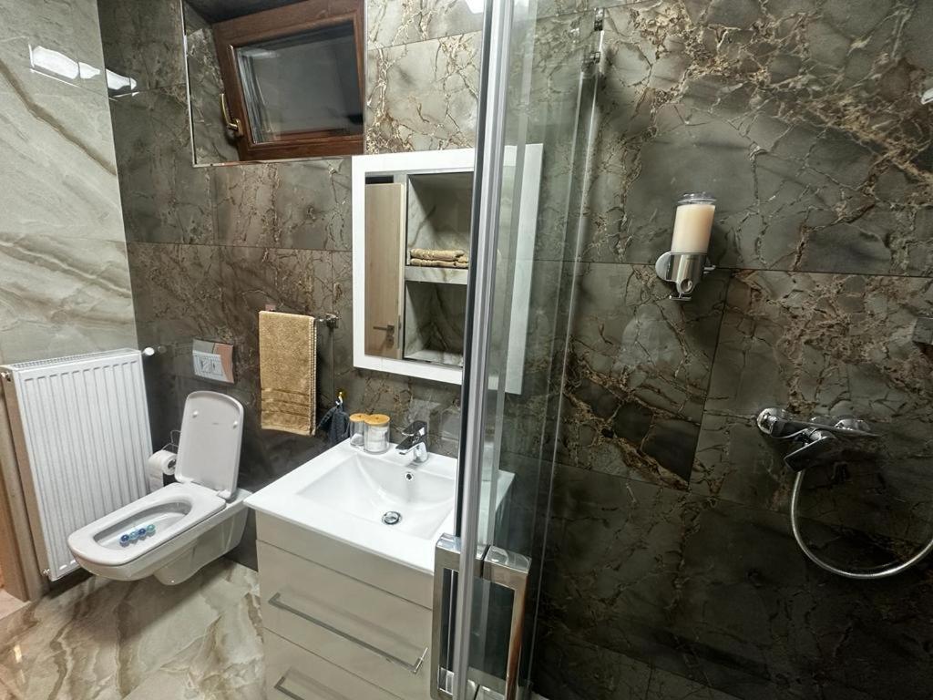 Emanuela Apartments Pecica Εξωτερικό φωτογραφία