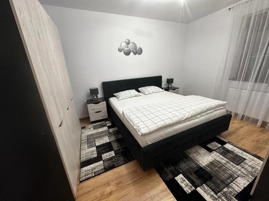 Emanuela Apartments Pecica Εξωτερικό φωτογραφία